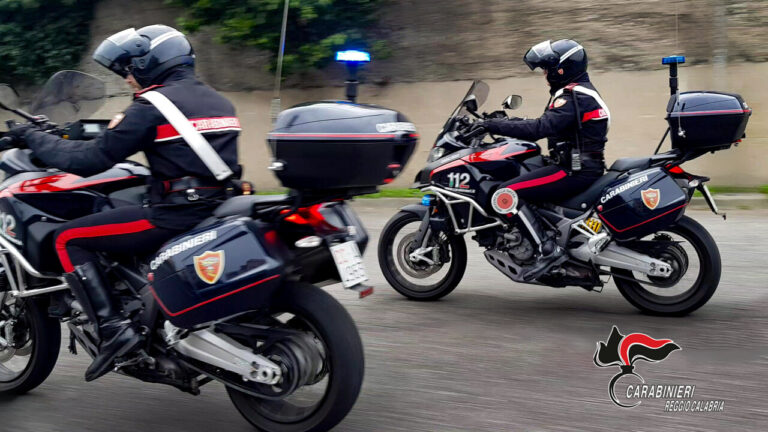 Arma clandestina, droga e fauna protetta, i carabinieri arrestano una donna – Notizie